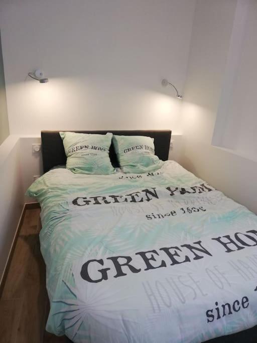Bel Appartement Coeur De Grenoble Tout Equipe Eksteriør billede
