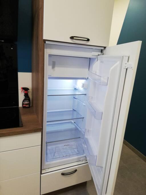 Bel Appartement Coeur De Grenoble Tout Equipe Eksteriør billede