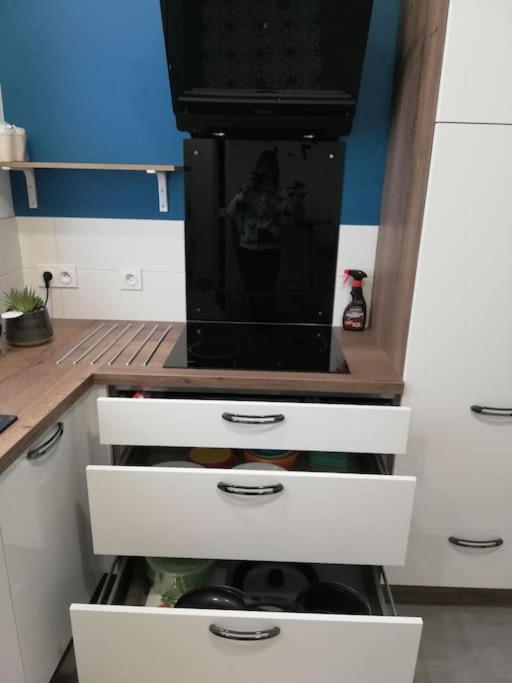 Bel Appartement Coeur De Grenoble Tout Equipe Eksteriør billede